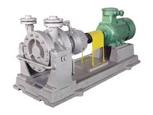 Pumps Verticaljoint Surface Haishi Vertical Centrifugal Vacuum Chemical Process Pump in China best Pumps Verticaljoint Surface Haishi Vertical Centrifugal Vacuum Chemical Process Pump in China best