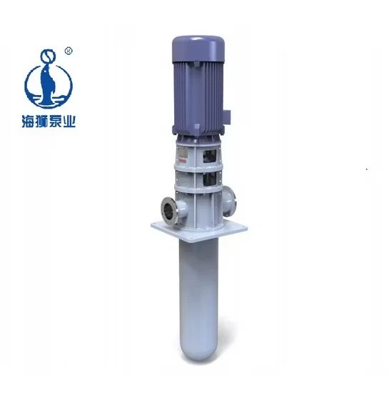 Single Suction Single-Stage Haishi Vs6 High Pressure Diesel Vs1 Sewage Pump New price