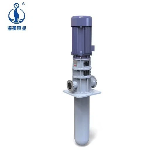 Single Suction Single-Stage Haishi Vs6 High Pressure Diesel Vs1 Sewage Pump New best